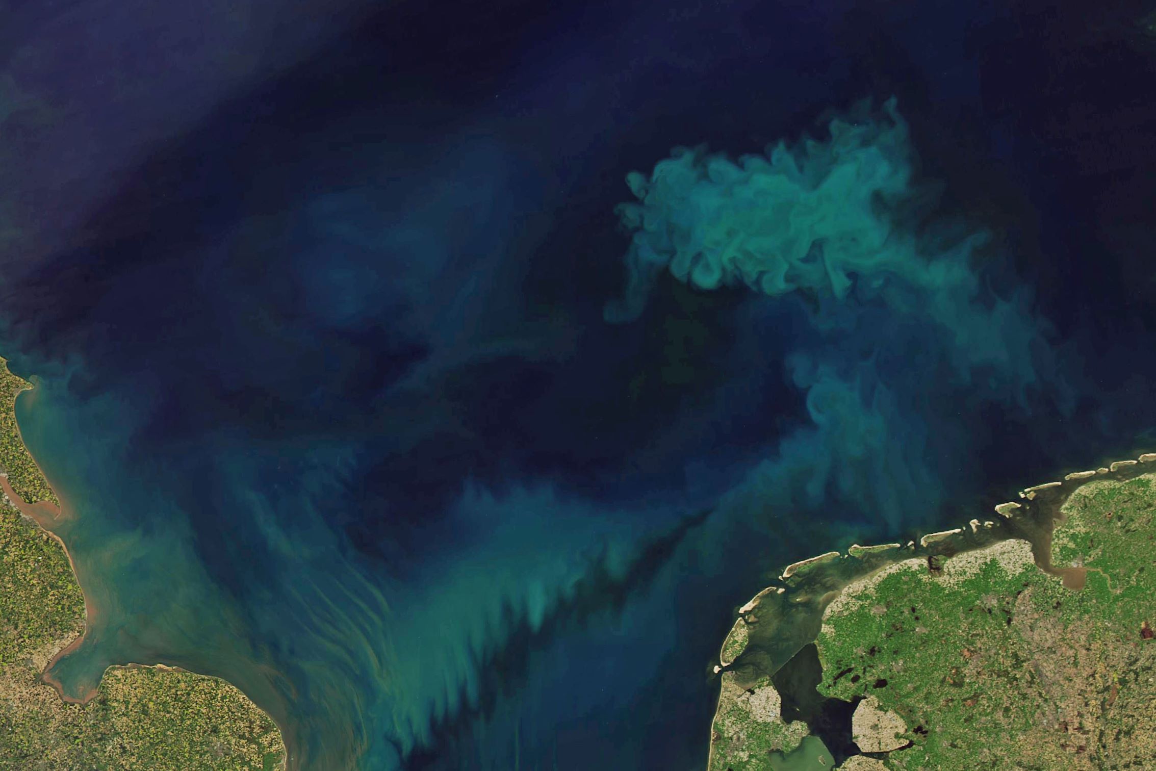 Les océans et les lacs du monde entier changent de couleur : un signal d’alarme climatique ?