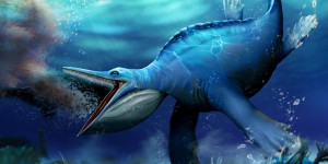 Le mode d’alimentation de ce reptile marin préhistorique était semblable à celui des baleines