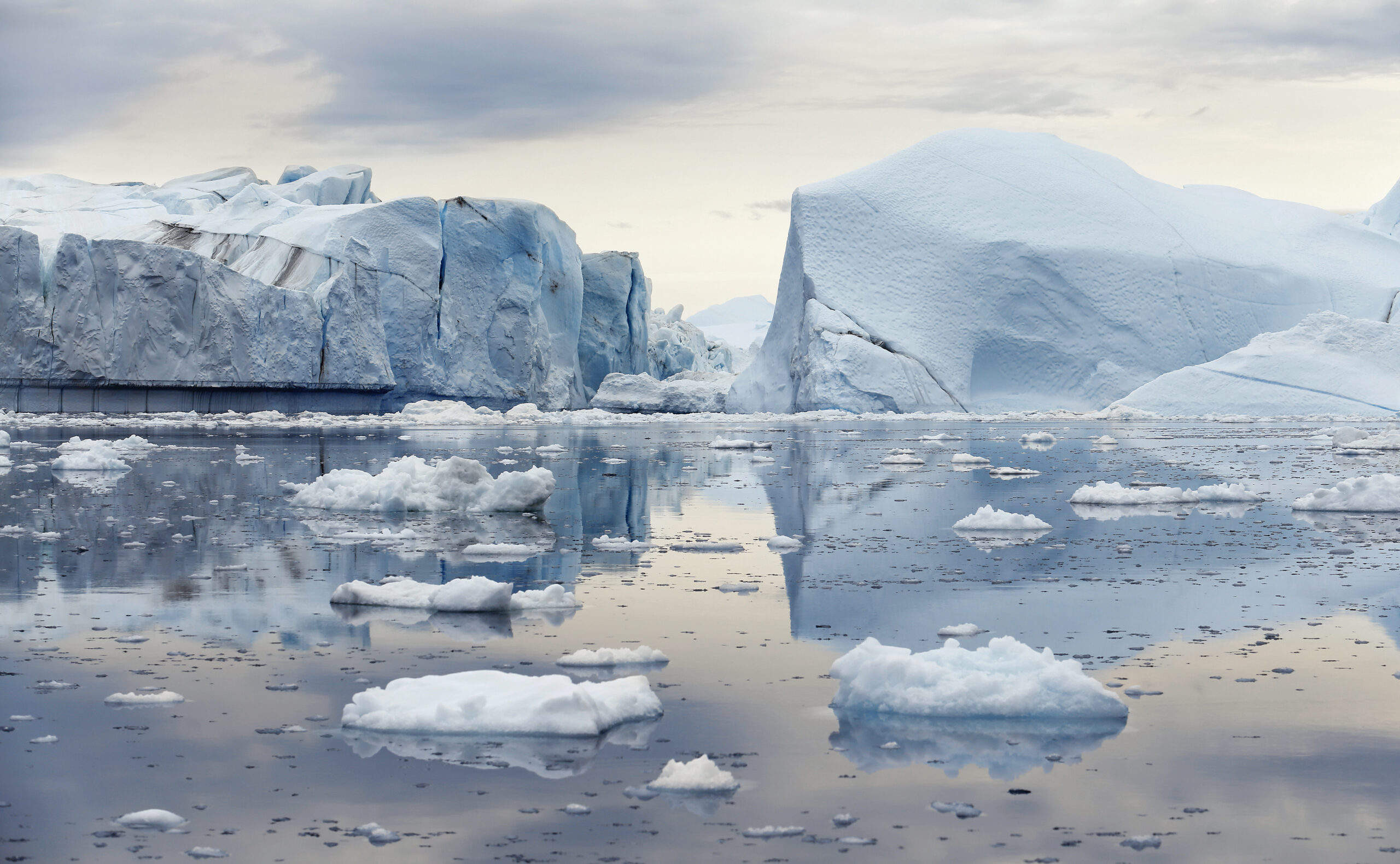 Qu’est devenu le plus grand iceberg du monde?