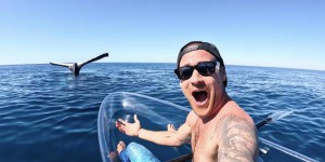 Vidéo : un homme partage les images rarissimes d’une queue de baleine à bosse dressée hors de l’eau