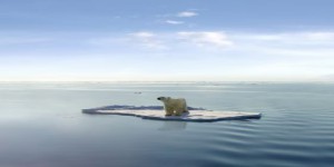 Vidéo – Les ours polaires ont-ils une chance de survivre au réchauffement climatique ?