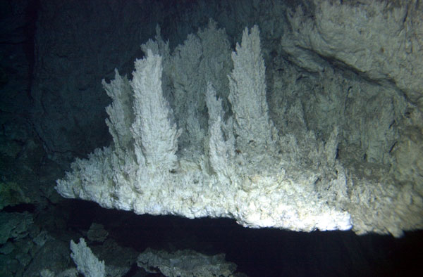 Voici « La Cité Perdue », un champ hydrothermal unique au monde à 700 m de profondeur au milieu de l’océan Atlantique