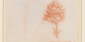 Une nouvelle étude remet en question la « règle des arbres » de Léonard de Vinci