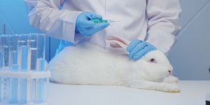 Faut-il tester les médicaments sur les animaux ?