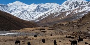 Le plus grand parc éolien de haute altitude inauguré au Tibet