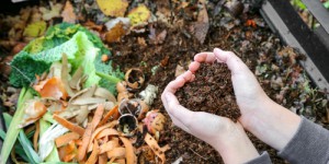 L’histoire peu connue du compost en France : de la chasse à l’engrais à la chasse au déchet