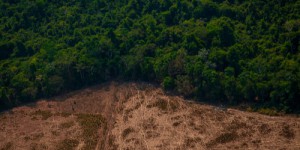 La forêt amazonienne pourrait atteindre un point de non retour en 2050, les scientifiques sonnent l’alarme