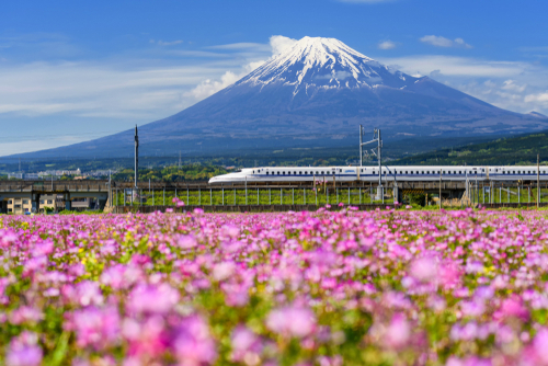 Comment ce petit oiseau a-t-il aidé à améliorer le Shinkansen, le train à grande vitesse japonais ?