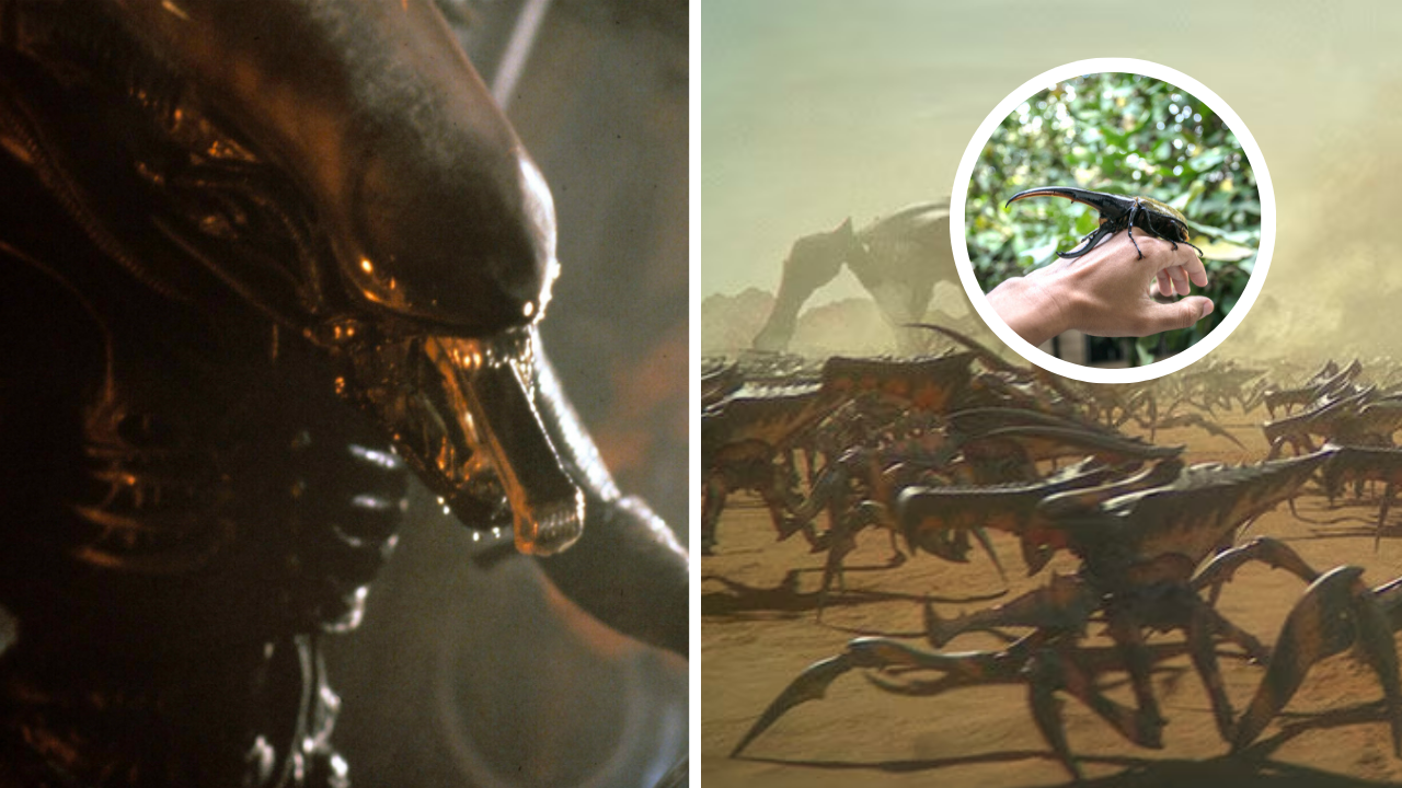 Alien, Starship Troopers, Predator… Ces vraies créatures qui ont inspiré les plus grands monstres du cinéma