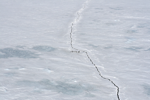 Effondrement des calottes glaciaires en Antarctique : une fissure colossale de 10,5 km s’est formée à une vitesse record de 128 km/h