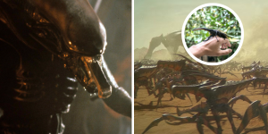 Alien, Starship Troopers, Predator… de la nature à l’écran, les origines surprenantes des monstres célèbres du cinéma