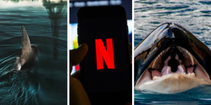 Un requin dans la Seine ? Ce film Netflix vous rappellera ces 4 animaux insolites vraiment retrouvés dans le fleuve