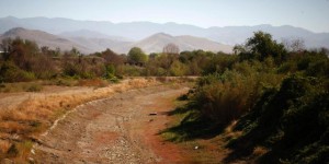 Les innovations pour lutter contre la sécheresse en Californie