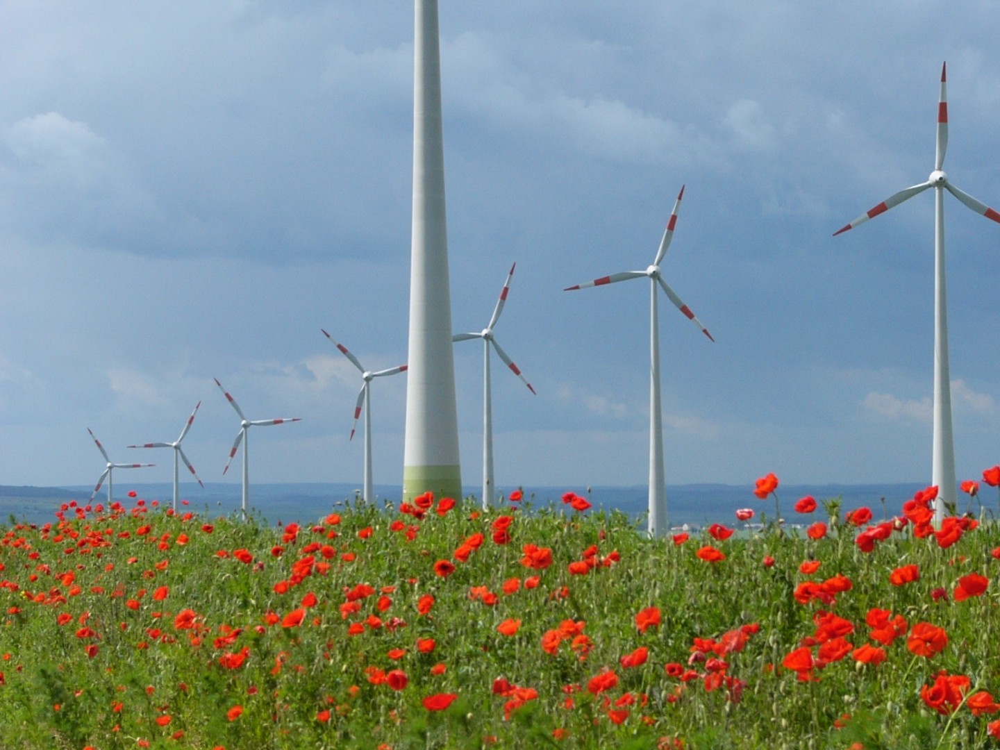 EDF fournira à Google de l'électricité éolienne d'ici décembre 2016