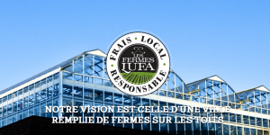 Les pionniers du green (1/8): 'Fermes Lufa', le (roof) top de la serre agricole urbaine