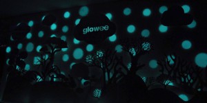 Les pionniers du green (7/8): Glowee: quand la mer inspire l'éclairage urbain