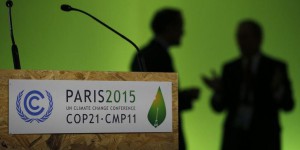 COP21, un an après : la résistance à Trump s'organise
