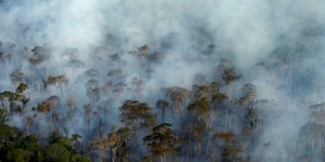 Au Brésil, la déforestation de l'Amazonie atteint son pire niveau depuis 2008