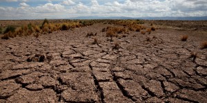Climat: un an après, qu'a obtenu l'Affaire du siècle ?