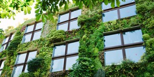Construire le futur zéro carbone avec les bâtiments tertiaires et l’habitat
