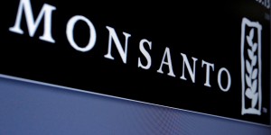 Herbicide Lasso: Monsanto/Bayer définitivement condamnés