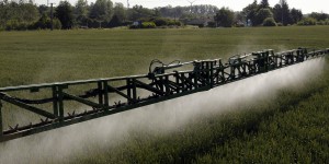 Les dérogations pour réduire les distances d’épandage de pesticides jugées anticonstitutionnelles