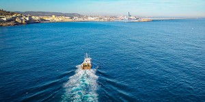 Plan européen de gestion West Med : les pêcheurs en Méditerranée se disent « au bout du bout »