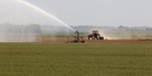 Eau : le gouvernement veut pousser l'agriculture à s'adapter au changement climatique