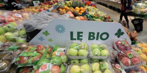Alimentation: pourquoi la guerre en Ukraine pourrait rendre le « bio » moins cher que les autres produits