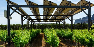 Pourquoi le producteur d’énergie Qair s’associe à Sun’Agri sur l’agrivoltaïsme dynamique