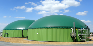 Biogaz : ' Dès 2030, nous pourrions nous passer du gaz russe avec le gaz vert' (GRDF)