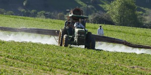 Comment Rennes Métropole veut atteindre le « zéro pesticide de synthèse » d’ici à 2030