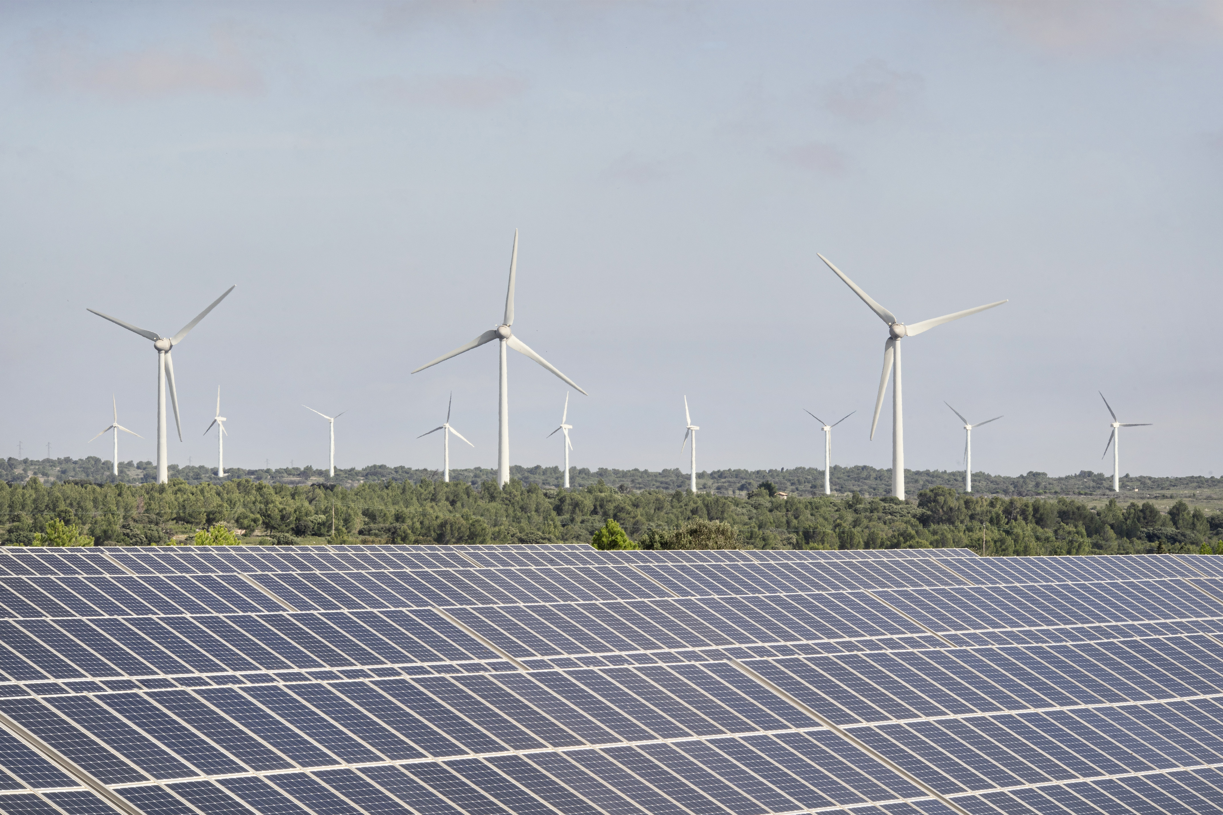 Le solaire et l'éolien ont attiré 15 fois plus d'investissements que le nucléaire en 2021