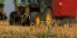 La réforme de l'assurance récolte entre en vigueur le 1er janvier pour soulager agriculteurs et assureurs