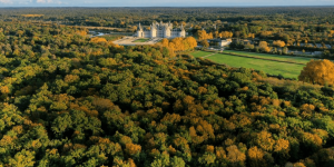 La Belle Forêt va vendre des crédits carbones « made in Chambord »