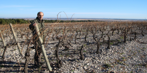 Sécheresse : alerte rouge sur le vignoble du Languedoc-Roussillon