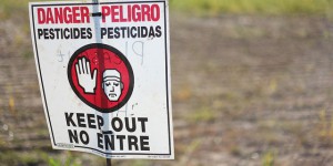 La contrebande de pesticides fleurit aux frontières