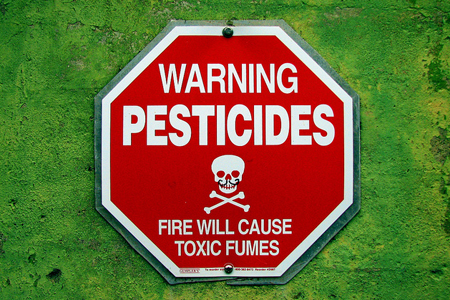 Danger des pesticides : on a vérifié les salades des fabricants