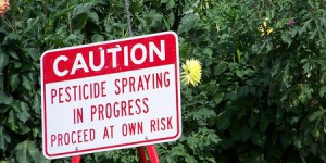 Evaluation des pesticides : l'industrie a toujours la main