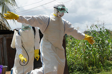 L'épidémie d'Ebola, fruit de la déforestation et de la guerre