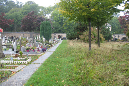Versailles invente le cimetière aux herbes folles