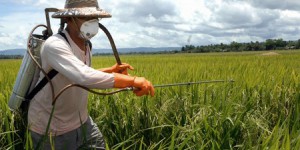 L'« exposome » : un mot barbare, mais un atout pour les victimes des pesticides