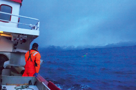 En Norvège, les pêcheurs ont sauvé leur morue