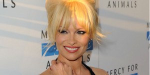 Pamela Anderson, les canards et les médias