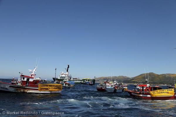 Politique commune des pêches : du papier à la réalité