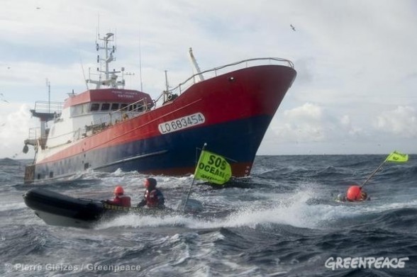Pêche profonde : l’Ifremer donne raison aux ONG 