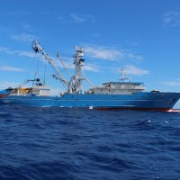 La pêche thonière tropicale parmi les pilleurs des océans