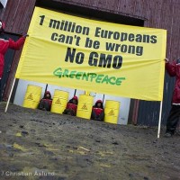 OGM : quand Jean-Claude Juncker préfère Monsanto aux citoyens européens…
