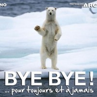 Shell renonce à forer en Arctique ! Une belle victoire des citoyens