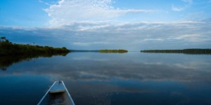 Bonne nouvelle pour l’Amazonie : Engie prend ses distances avec les méga-barrages
